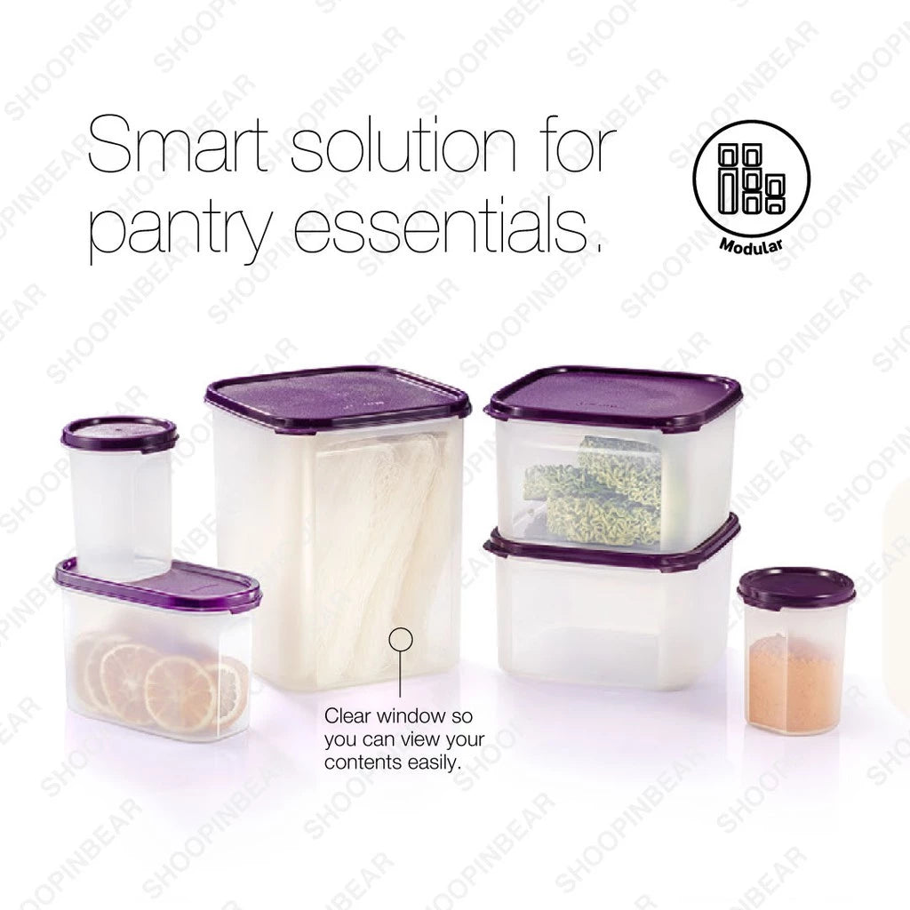 Tupperware Modular Mates Essential Set